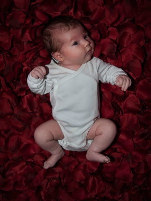 Ein frisch geborenes Baby - Newborn -liegt in roten Rosenblüten und bestaunt die Welt um sich herum. Foto aufgenommen von Wilhelm Watschka